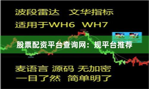 股票配资平台查询网：规平台推荐